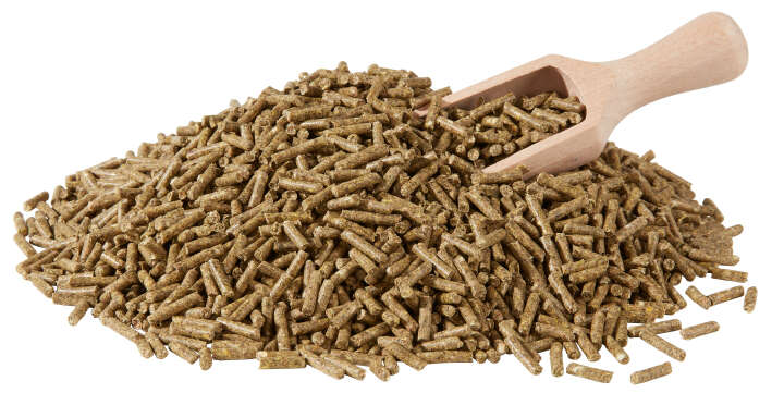 BERKEL FUTTER Angora-Kanin BERKEL FUTTER Angora-Kanin